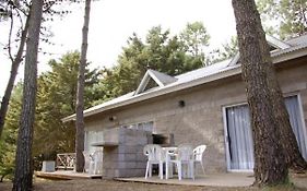 Loft Hadas del Bosque